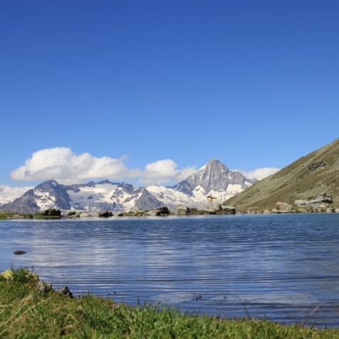 Grosse See mit Panorama Bietschorn im Sommer